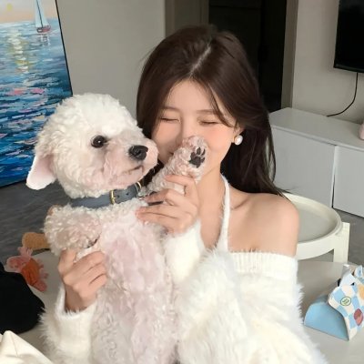两面间谍